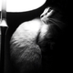 Image for article titled Shooting Challenge: Cellphone Gallery Part 2